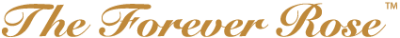 The Forever Rose
