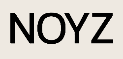 Noyz Logo