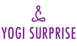 Yogi Surprise Logo
