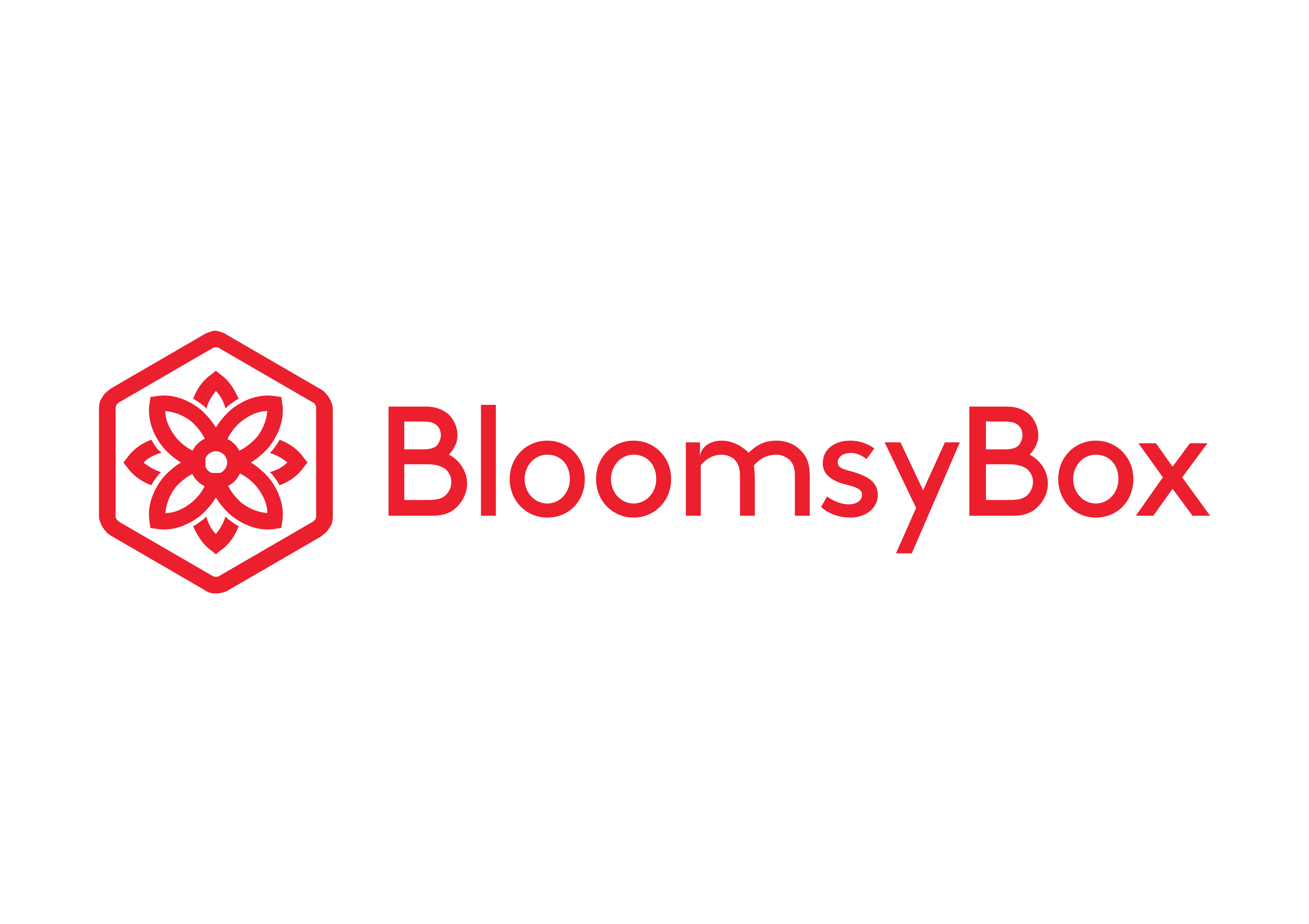 BloomsyBox (US) Logo